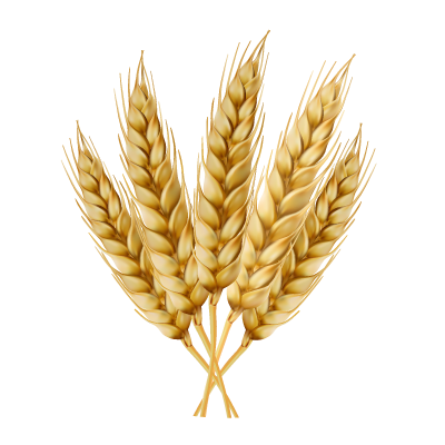 Saccharide Isomerate