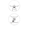 Play & Joy - Invisilube Capsule Beads Silicone Oil Personal Lubricant-Juicy Missy